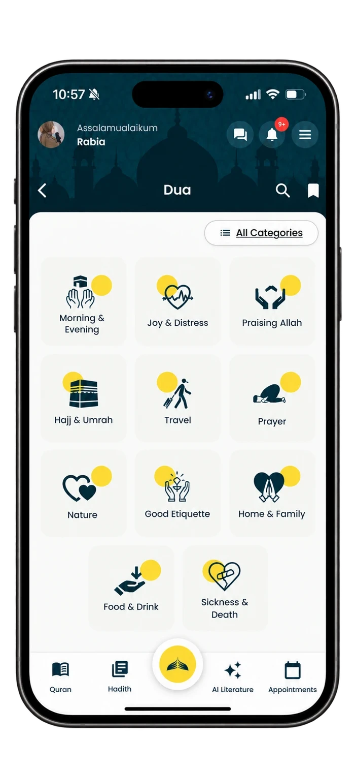 Dua categories